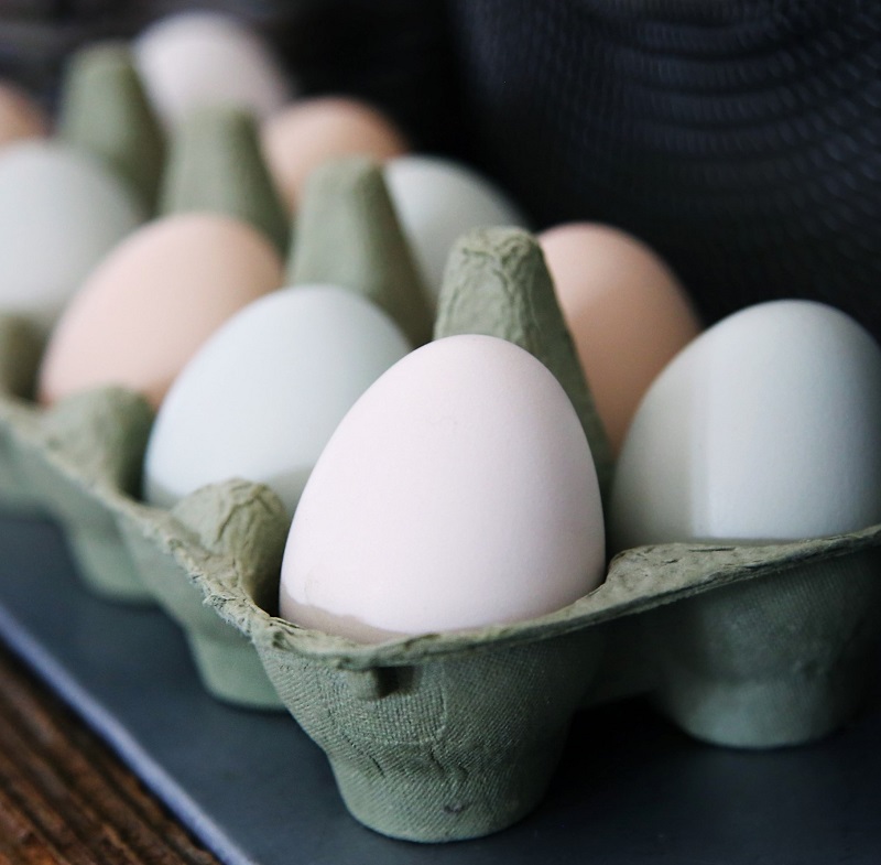 افزایش نرخ تخم مرغ به علت کاهش تولید